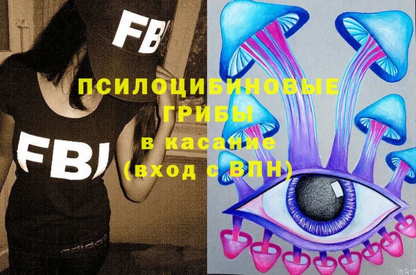 индика Армянск