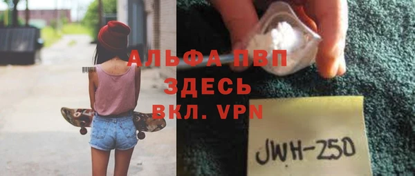 индика Армянск