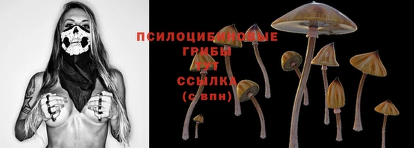 индика Армянск
