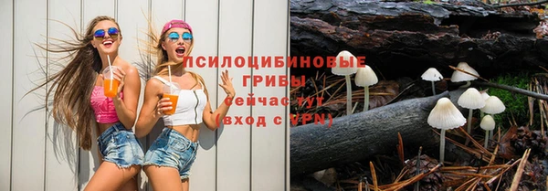 индика Армянск