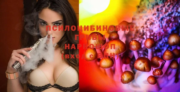 индика Армянск