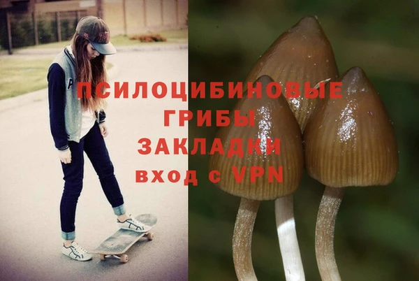 соль курить ск Аркадак